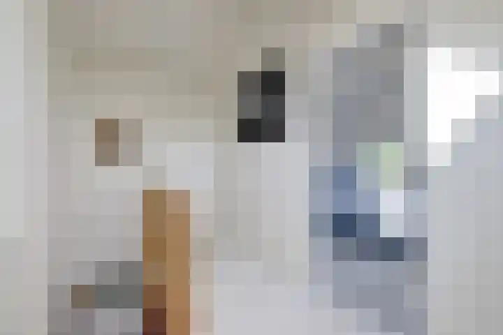 Welleweg 13 Dreischor thumbnail 33