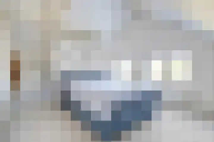 Welleweg 13 Dreischor thumbnail 34