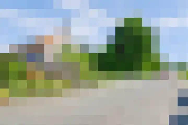 Welleweg 13 Dreischor thumbnail 42