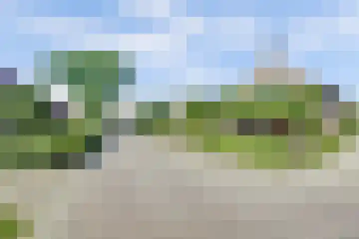 Welleweg 13 Dreischor thumbnail 43