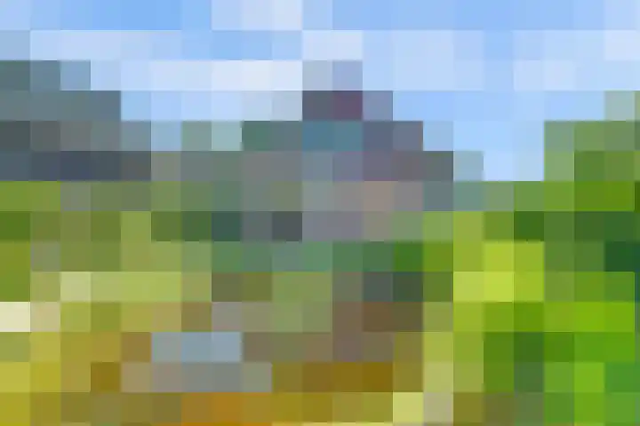 Welleweg 13 Dreischor thumbnail 6