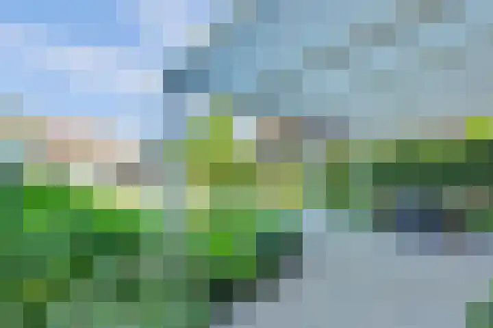 Welleweg 13 Dreischor thumbnail 7
