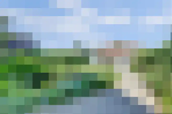 Welleweg 13 Dreischor thumbnail 8