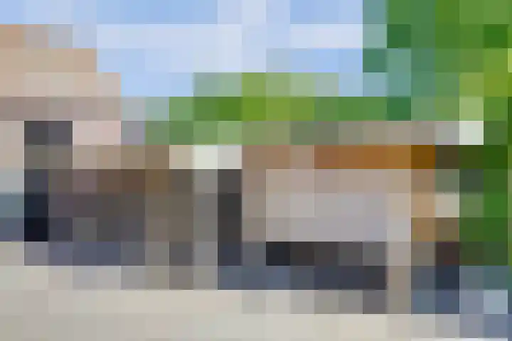 Welleweg 13 Dreischor thumbnail 9
