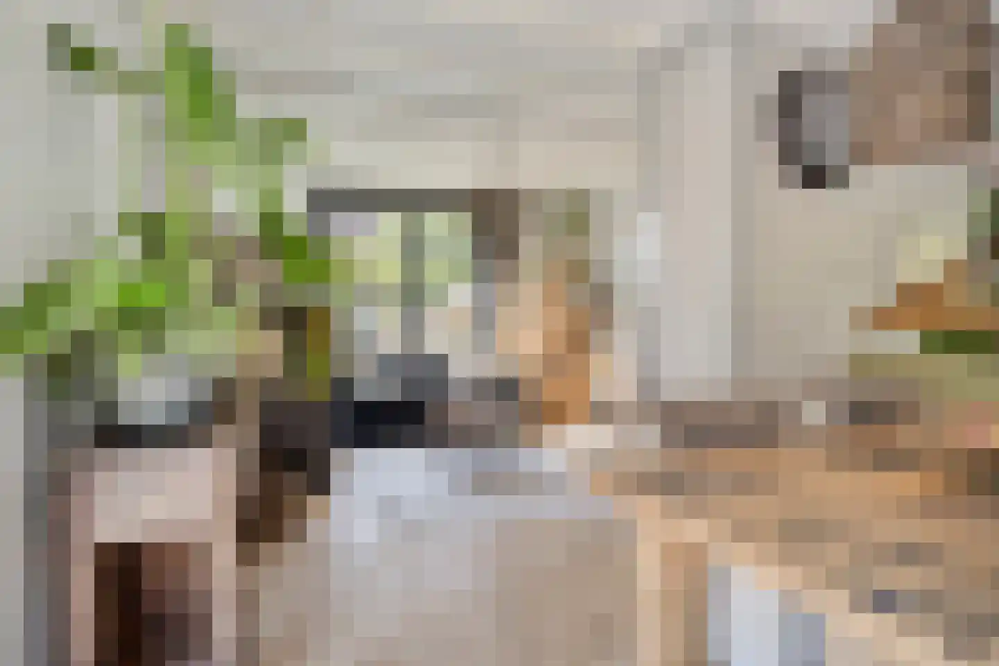 Welleweg 15 Dreischor thumbnail 13