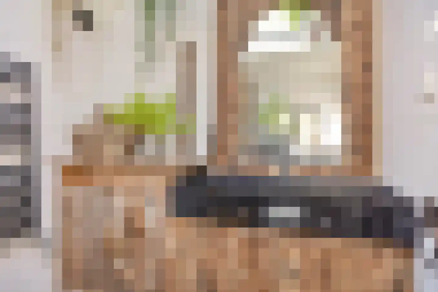 Welleweg 15 Dreischor thumbnail 17