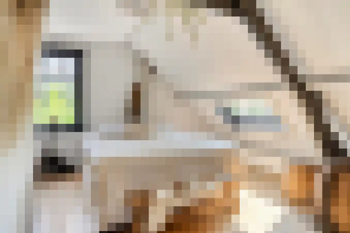 Welleweg 15 Dreischor thumbnail 20