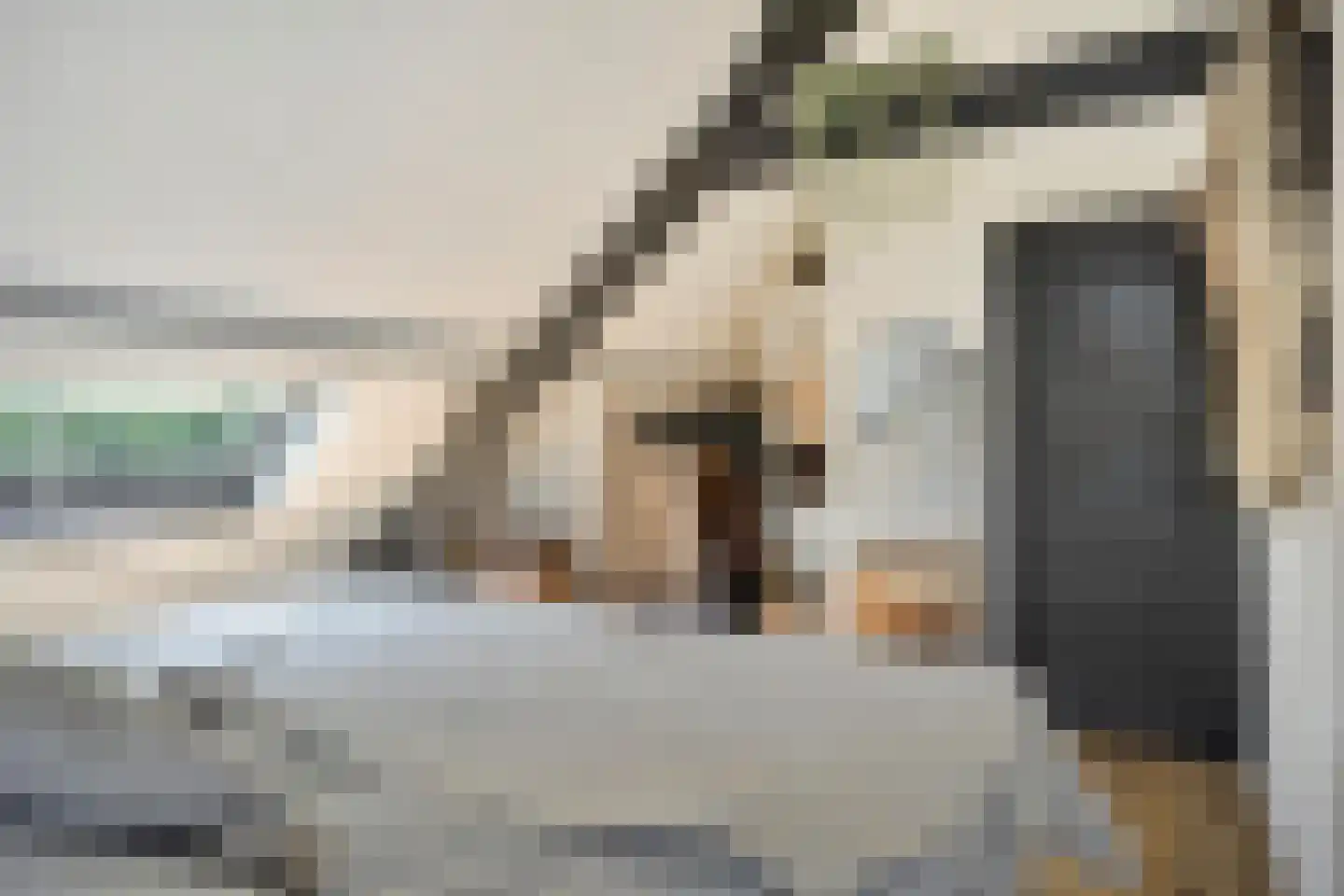 Welleweg 15 Dreischor thumbnail 21