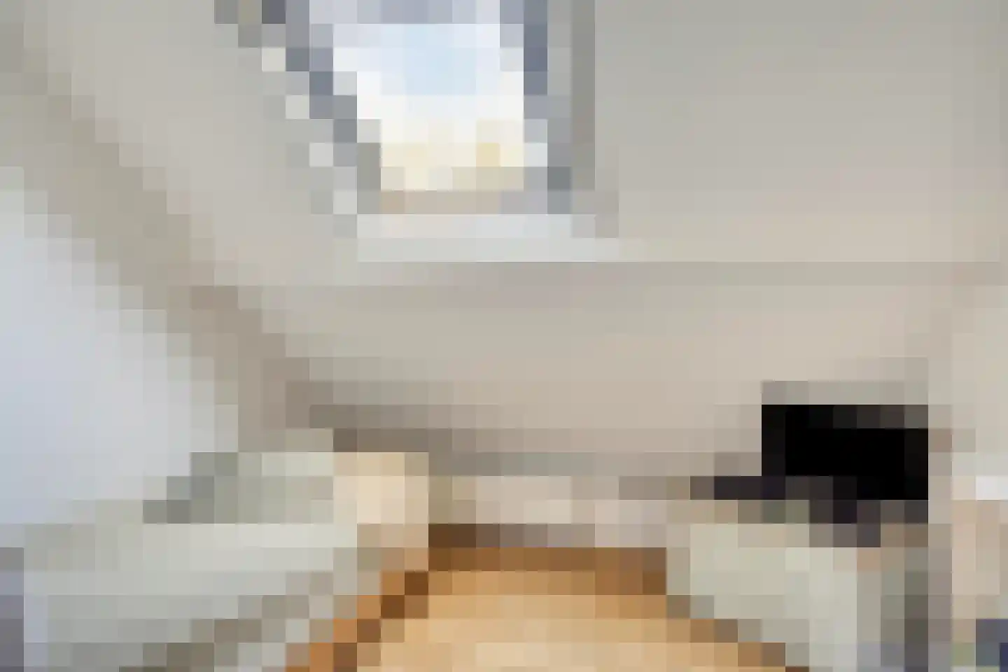 Welleweg 15 Dreischor thumbnail 22