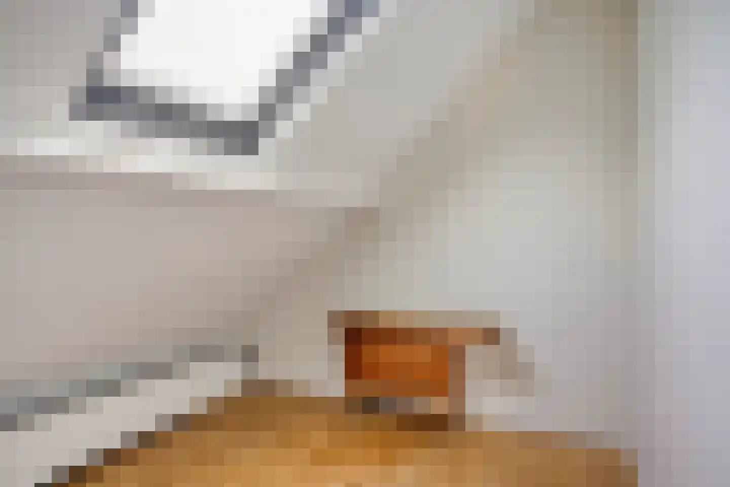 Welleweg 15 Dreischor thumbnail 24
