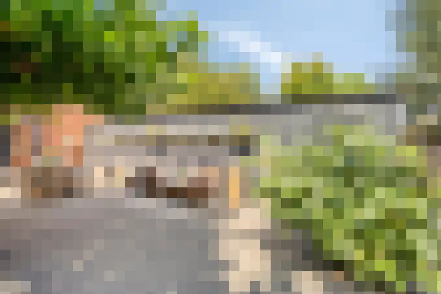 Welleweg 15 Dreischor thumbnail 25