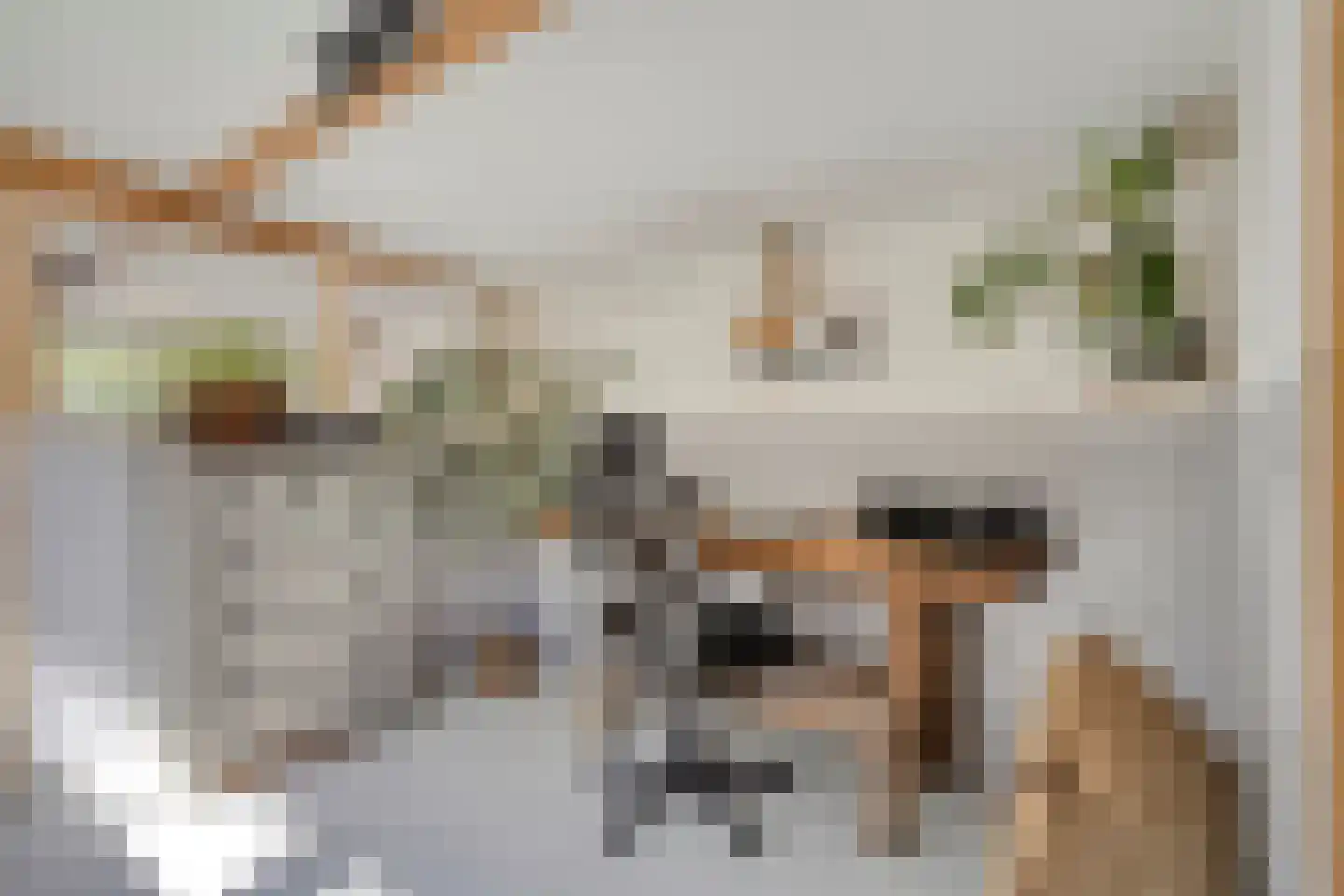 Welleweg 15 Dreischor thumbnail 27