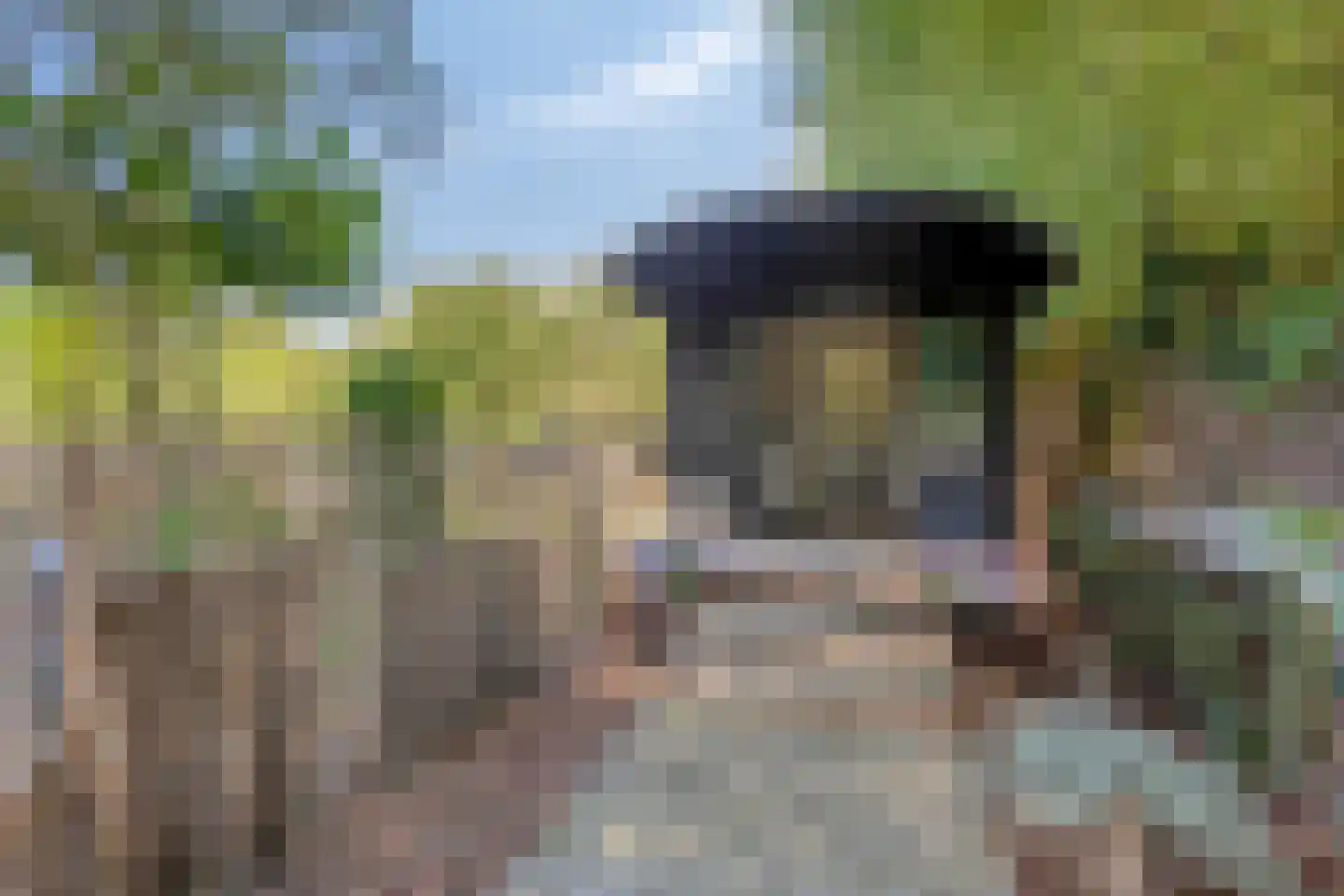 Welleweg 15 Dreischor thumbnail 29