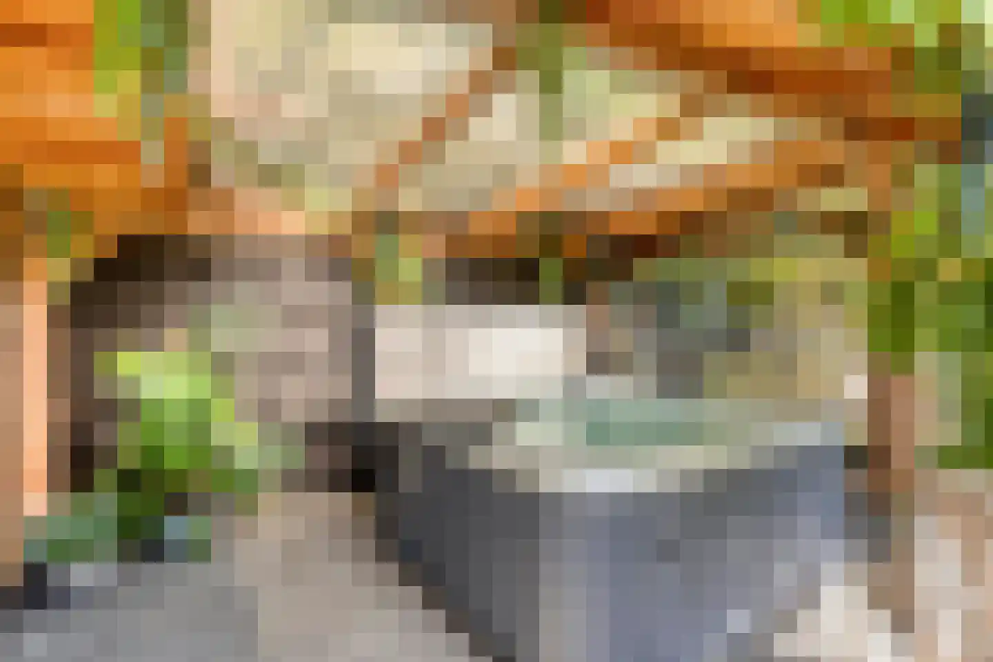 Welleweg 15 Dreischor thumbnail 32
