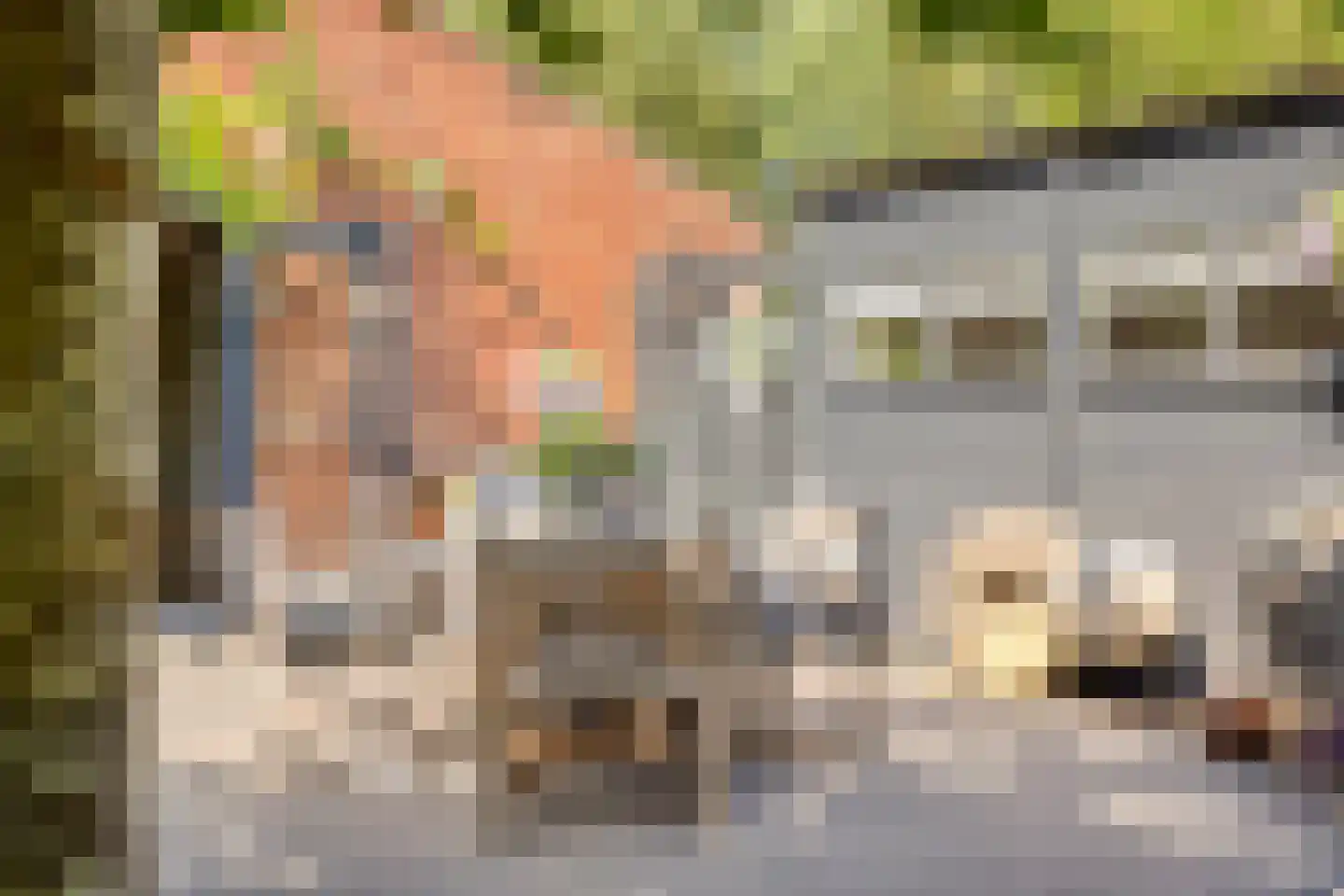 Welleweg 15 Dreischor thumbnail 33