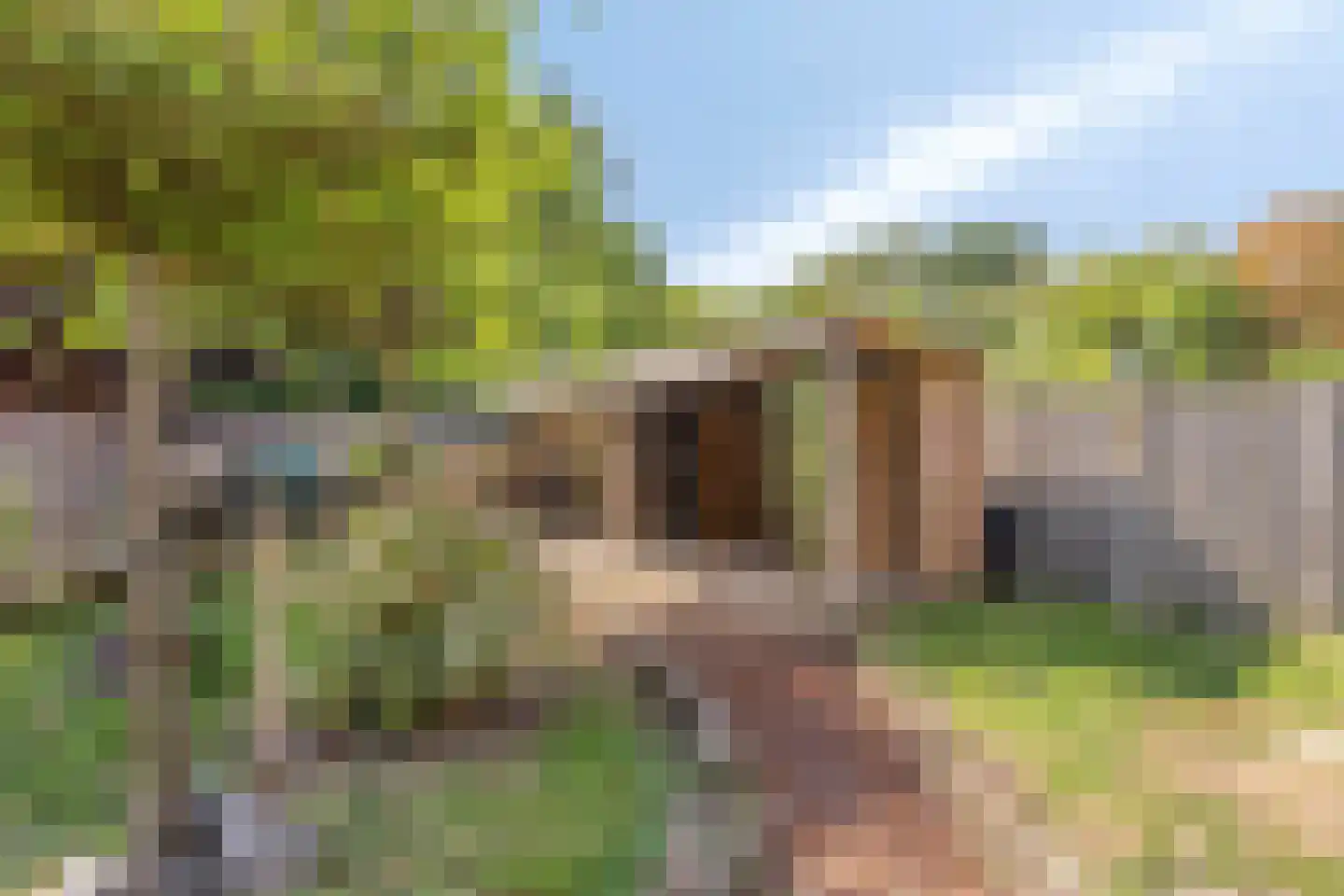 Welleweg 15 Dreischor thumbnail 34