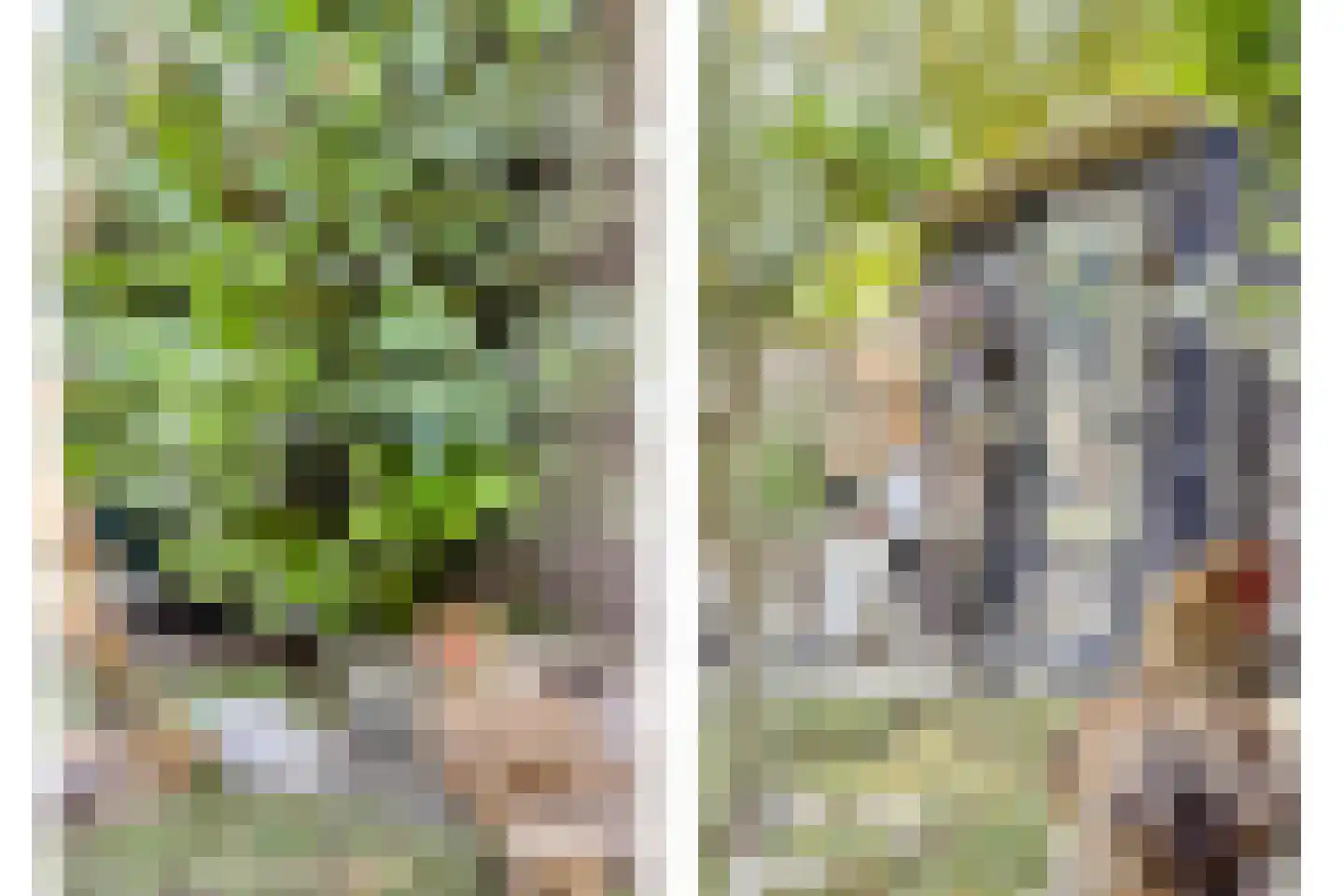 Welleweg 15 Dreischor thumbnail 35