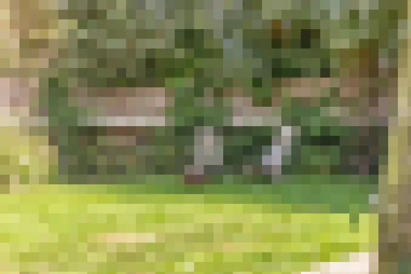 Welleweg 15 Dreischor thumbnail 36