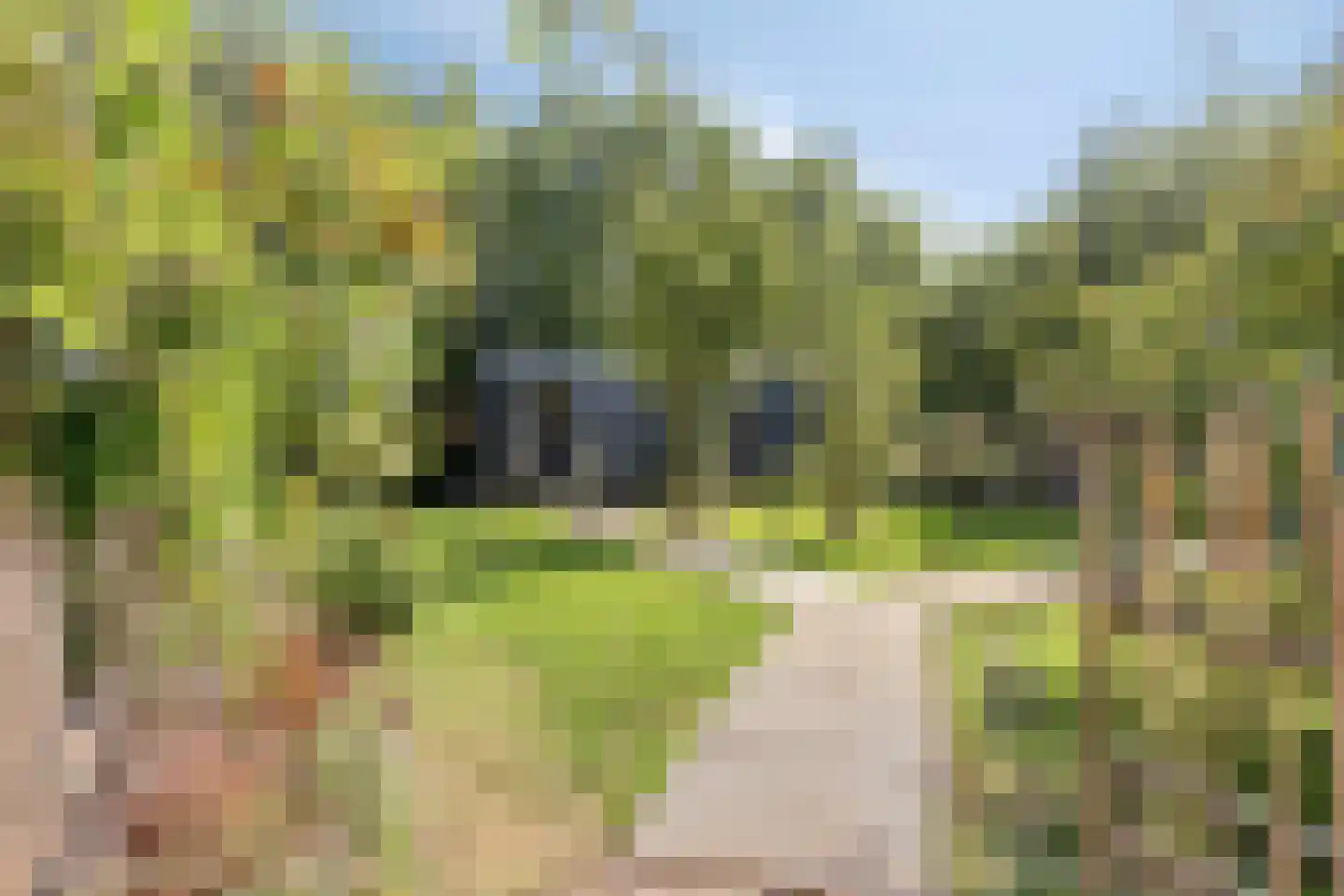 Welleweg 15 Dreischor thumbnail 37