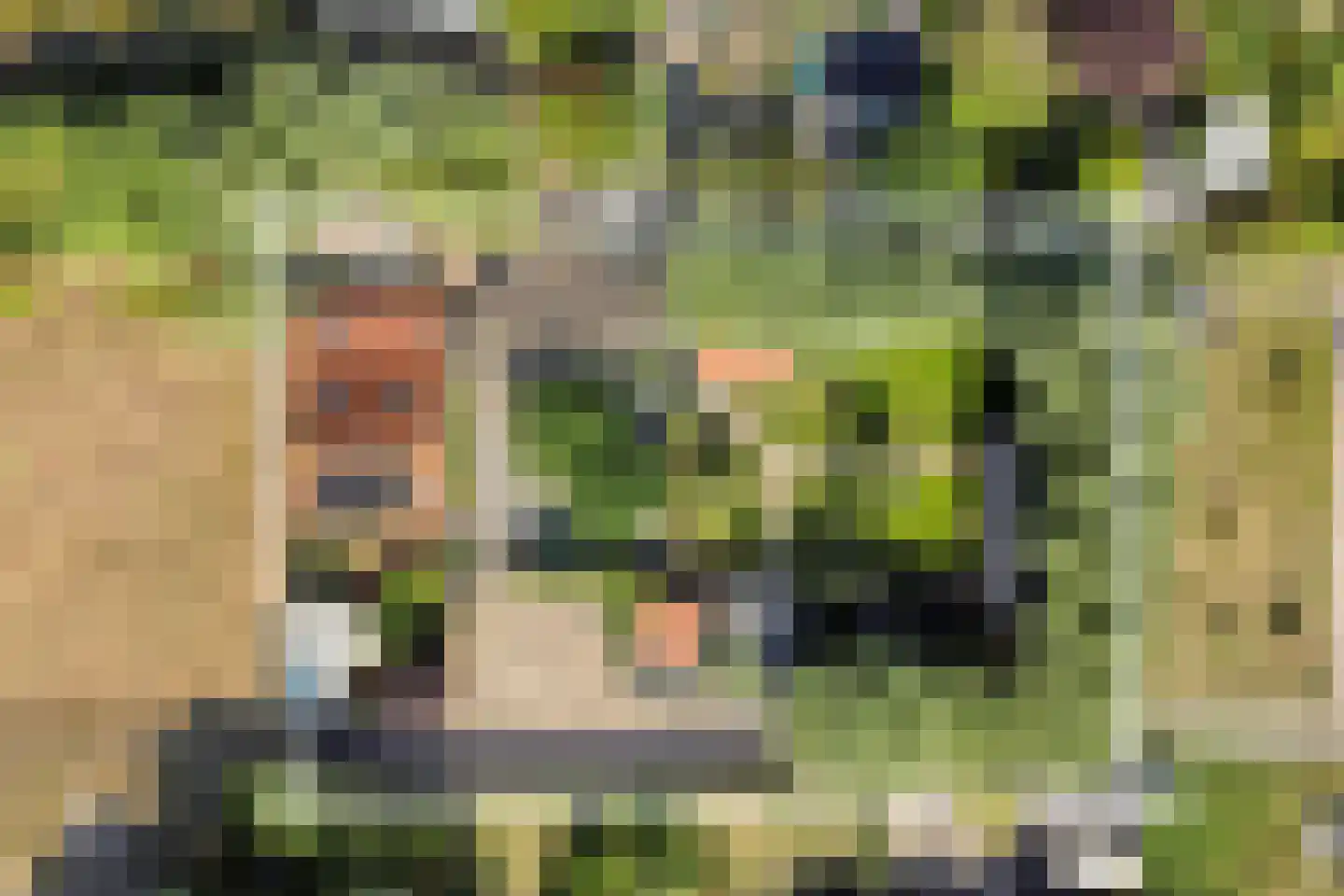 Welleweg 15 Dreischor thumbnail 40