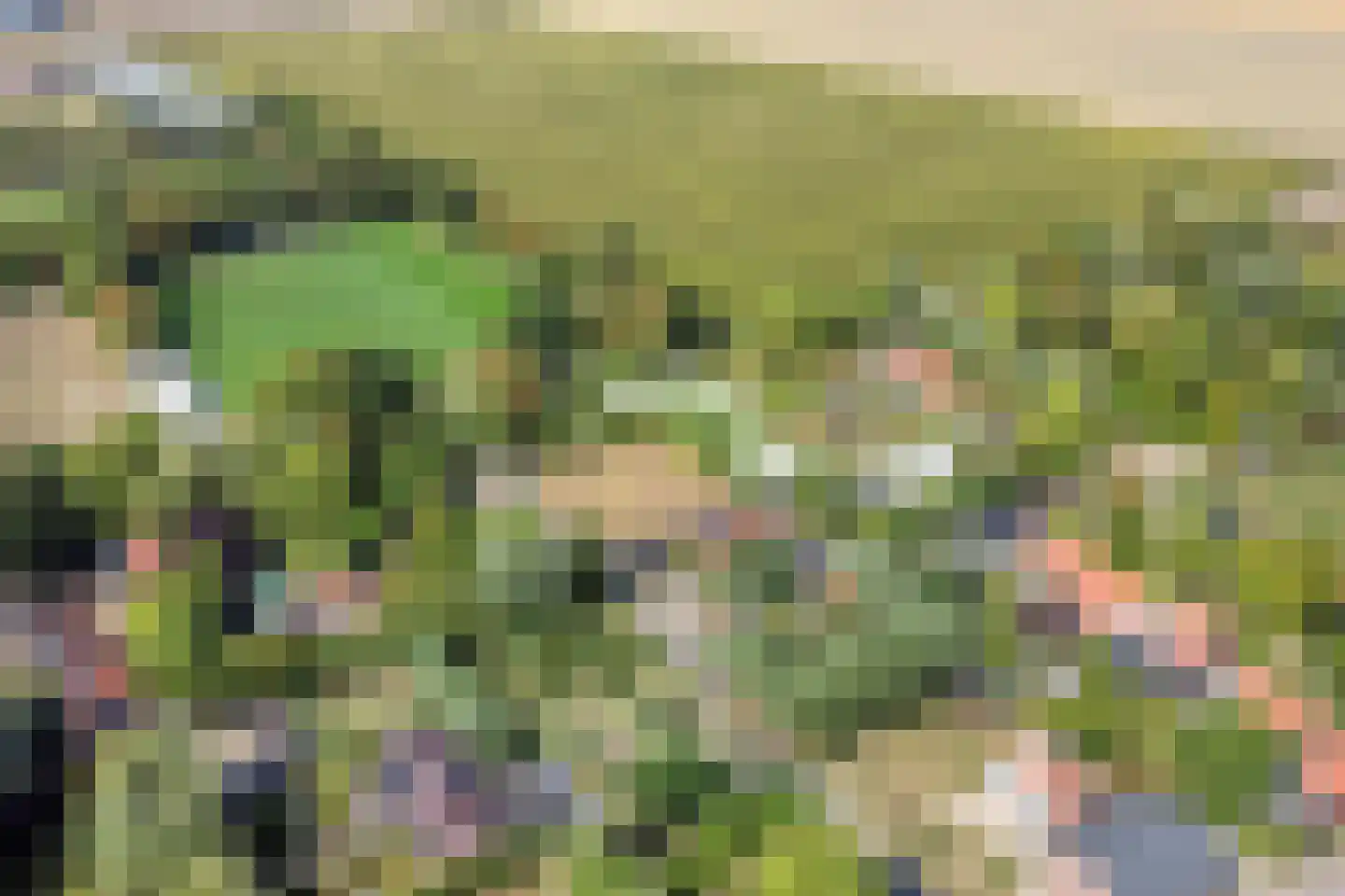 Welleweg 15 Dreischor thumbnail 41