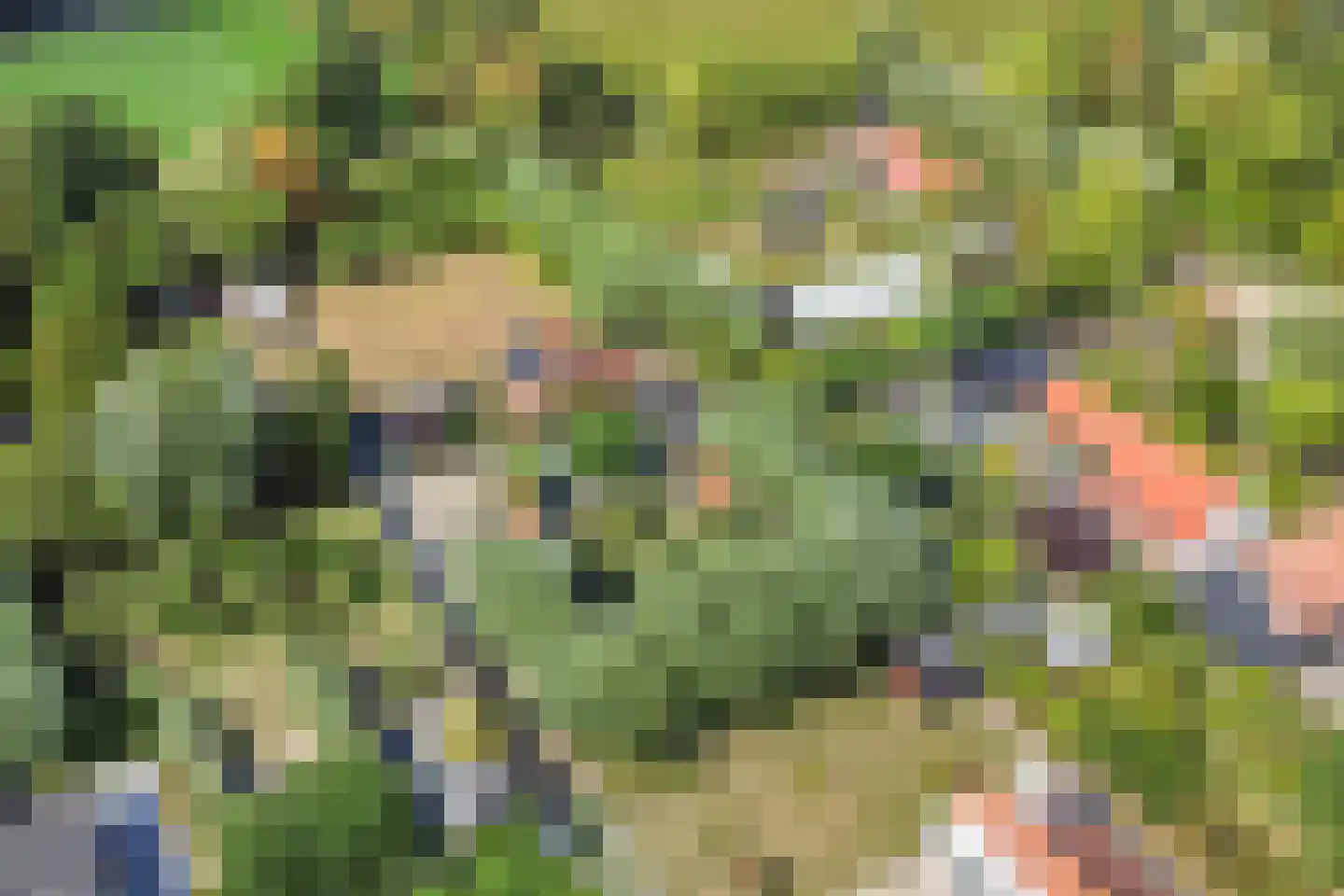 Welleweg 15 Dreischor thumbnail 42