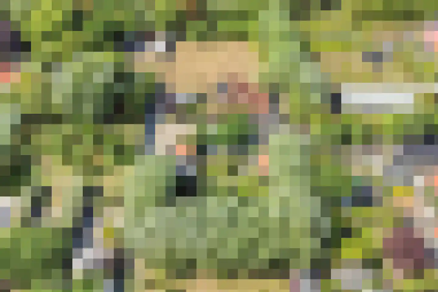 Welleweg 15 Dreischor thumbnail 43