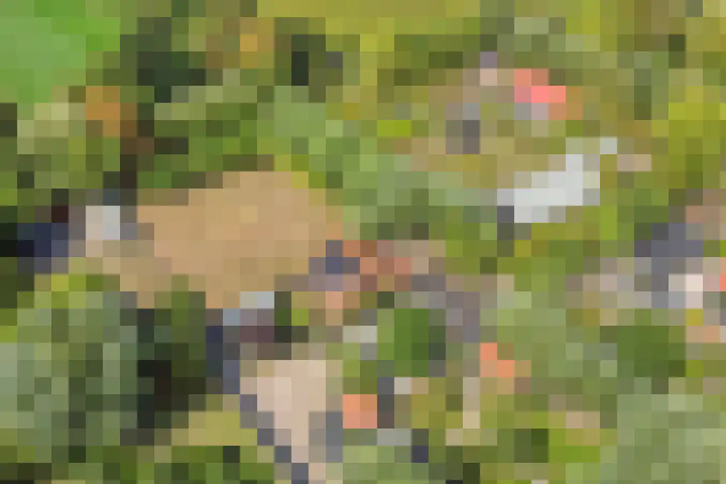 Welleweg 15 Dreischor thumbnail 44
