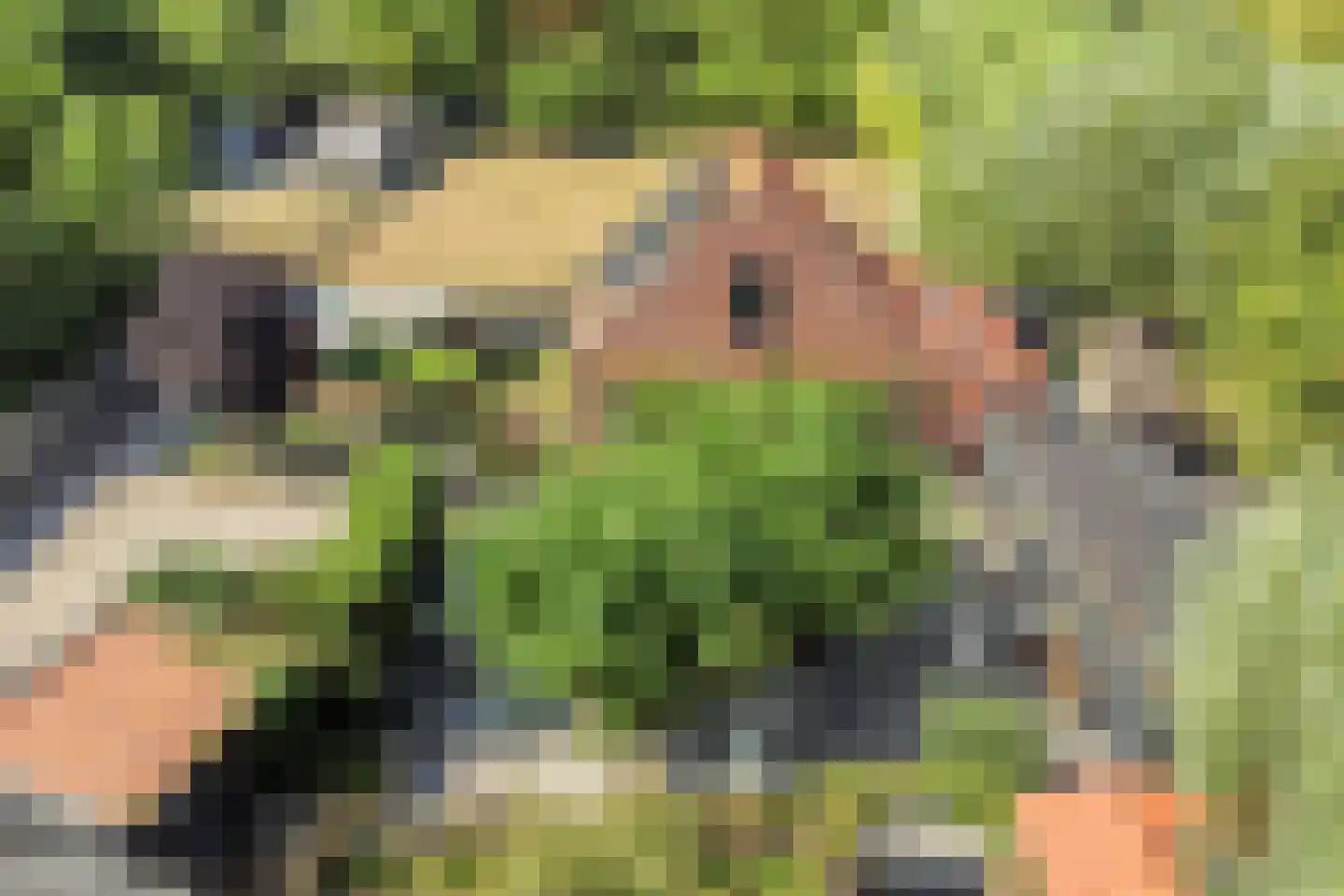 Welleweg 15 Dreischor thumbnail 46