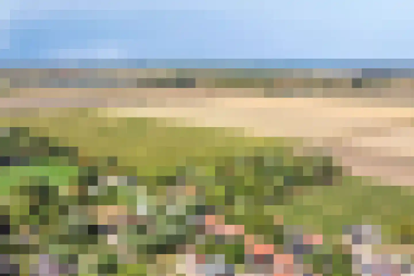 Welleweg 15 Dreischor thumbnail 47