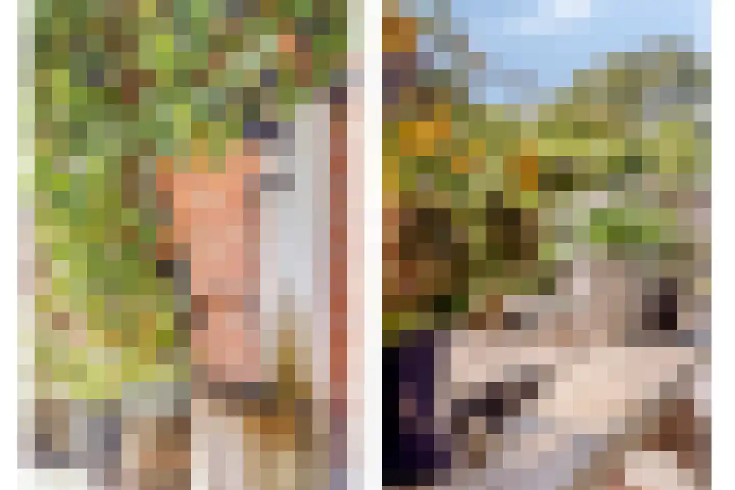 Welleweg 15 Dreischor thumbnail 5