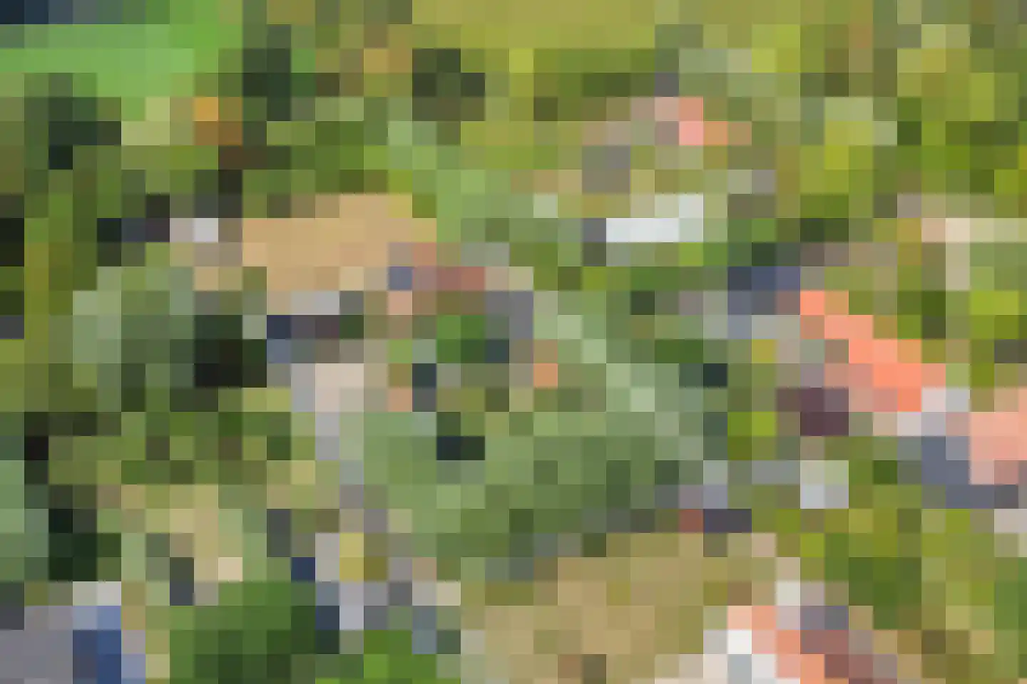Welleweg 15 Dreischor thumbnail 7