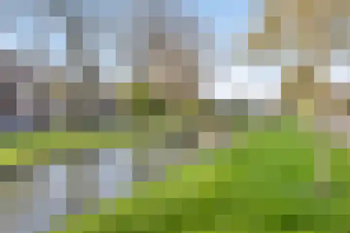 Welleweg 24 Brielle thumbnail 31