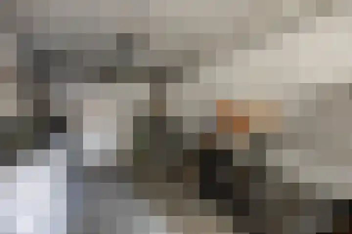 Welleweg 26 Brielle thumbnail 8