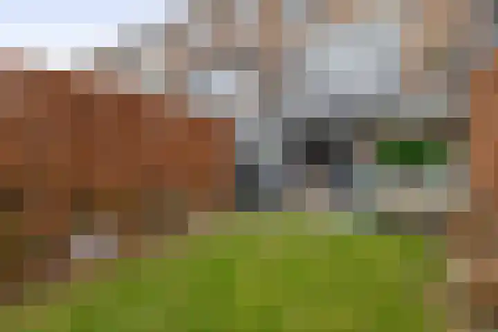 Welleweg 27 Brielle thumbnail 33