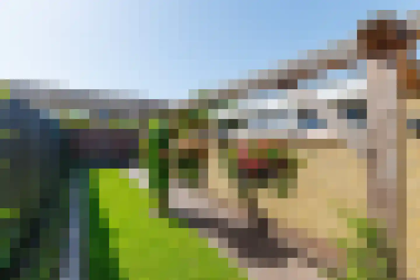 Welleweg 27 Rijssen thumbnail 40