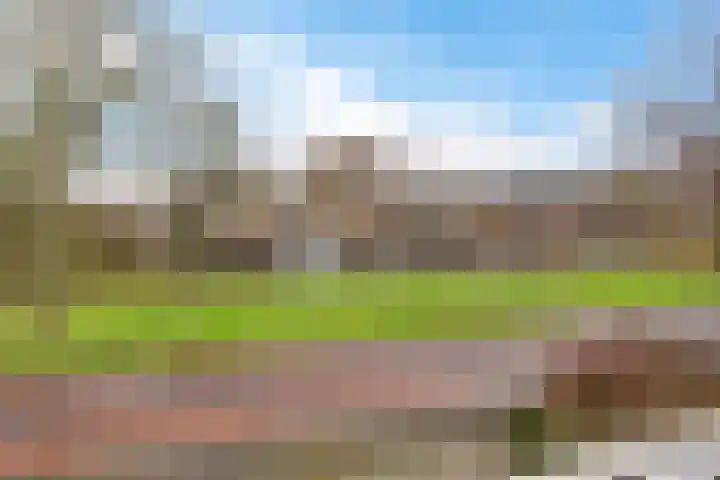 Welleweg 3 Brielle thumbnail 21