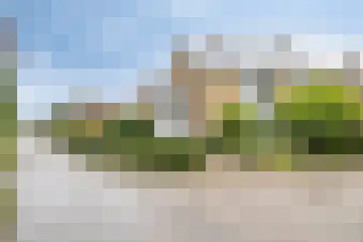 Welleweg 44 Brielle thumbnail 5
