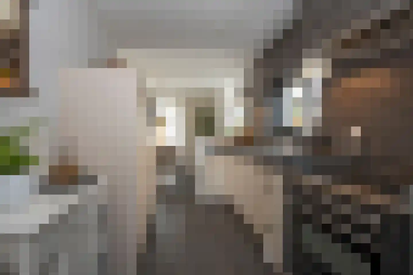 Welleweg 6 Rijssen thumbnail 15