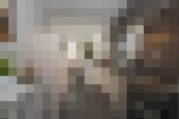 Welleweg 6 Rijssen thumbnail 15