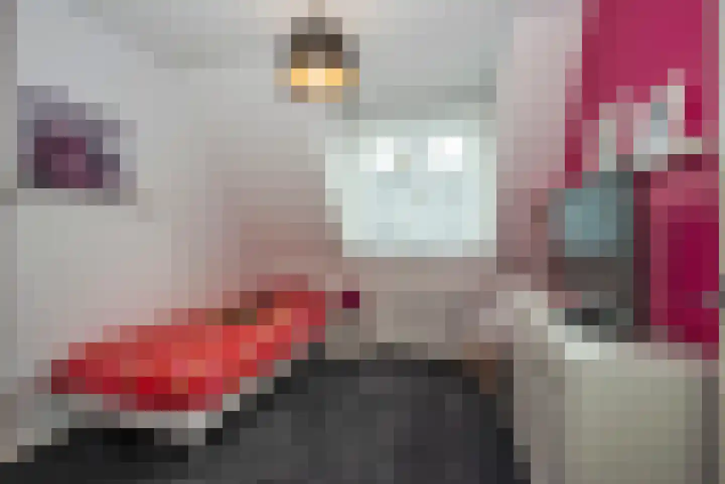 Welleweg 6 Rijssen thumbnail 32