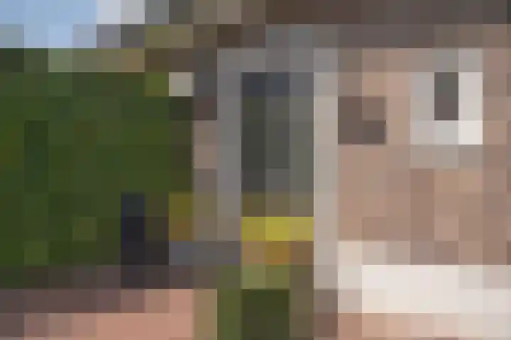 Welleweg 6 Rijssen thumbnail 4