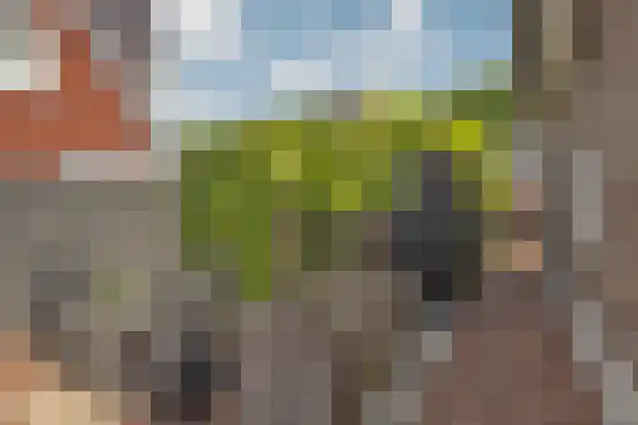 Welleweg 6 Rijssen thumbnail 54