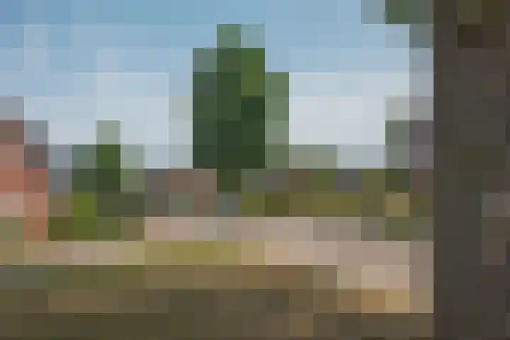 Welleweg 6 Rijssen thumbnail 58