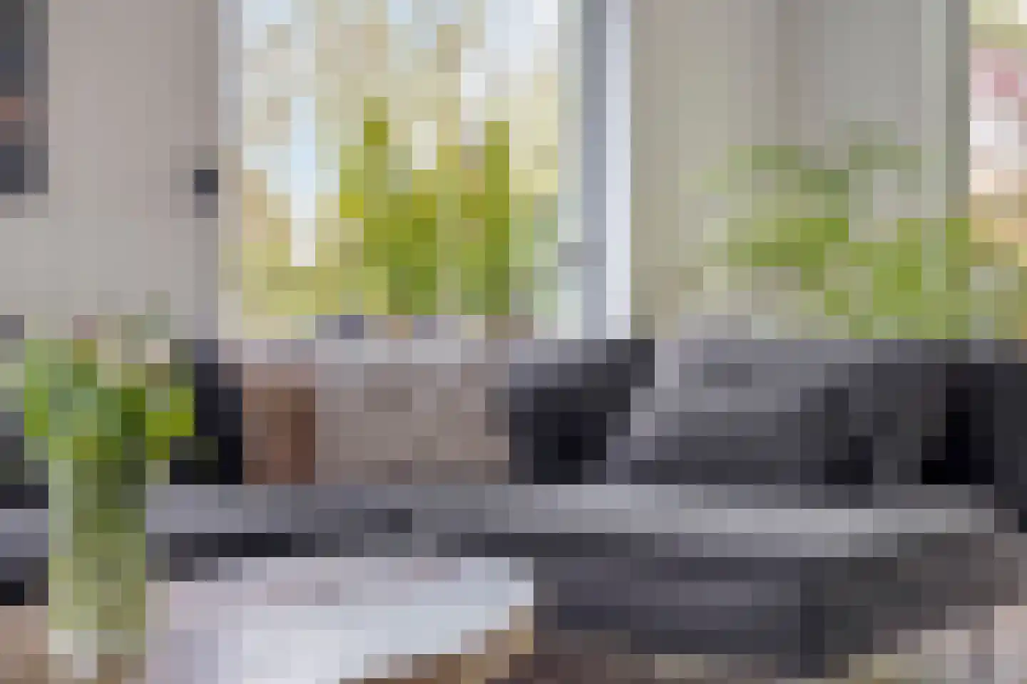 Welleweg 7 Dreischor thumbnail 10