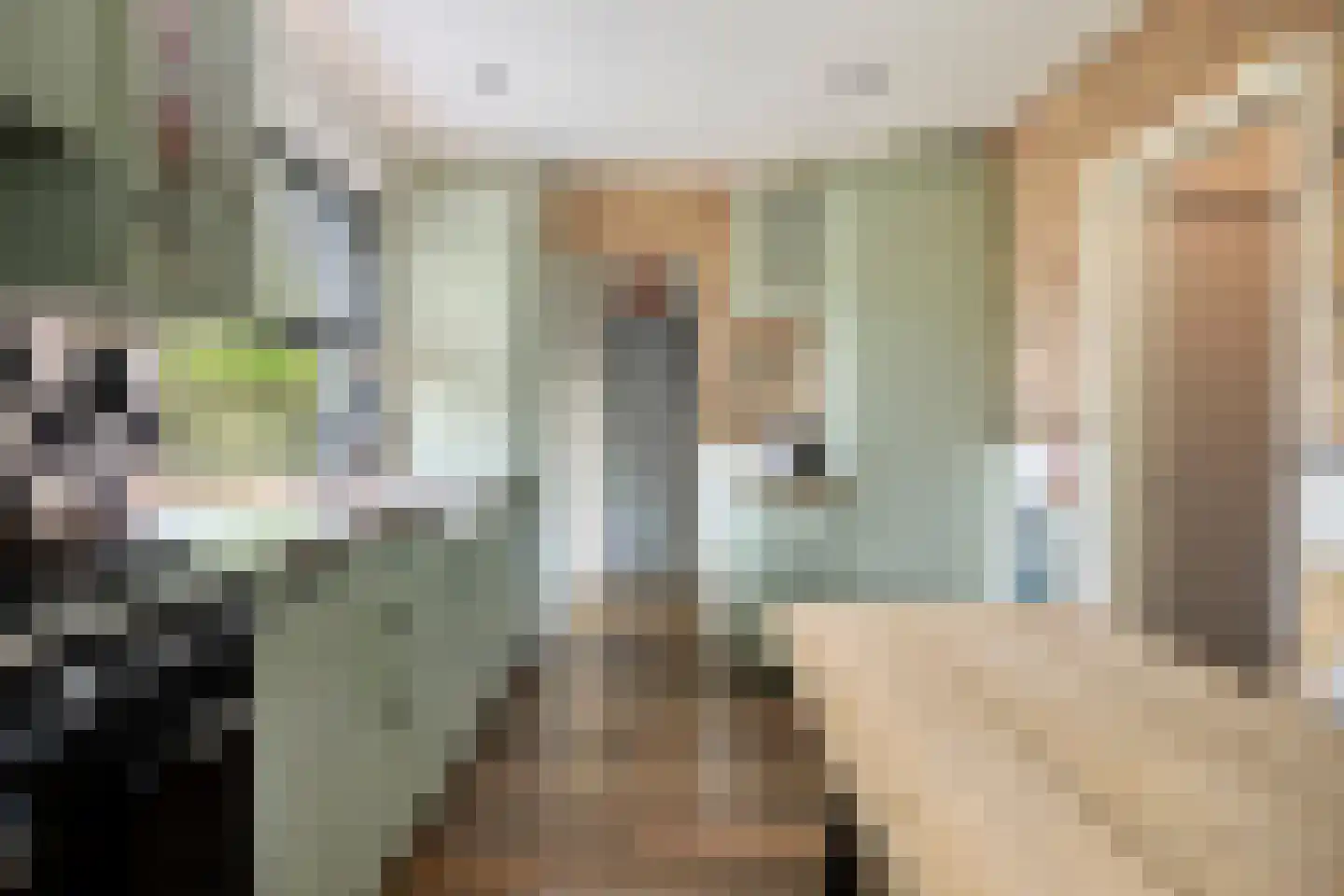 Welleweg 7 Dreischor thumbnail 12