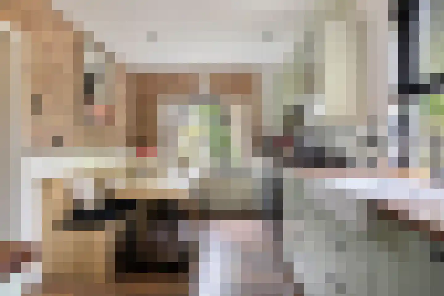 Welleweg 7 Dreischor thumbnail 14