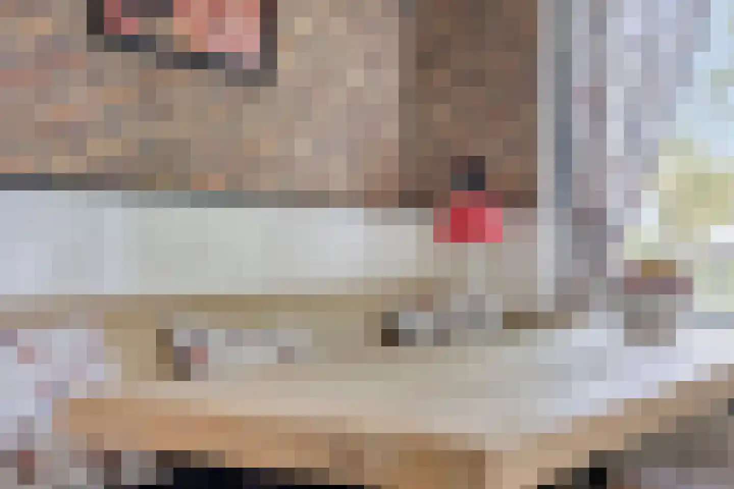 Welleweg 7 Dreischor thumbnail 16