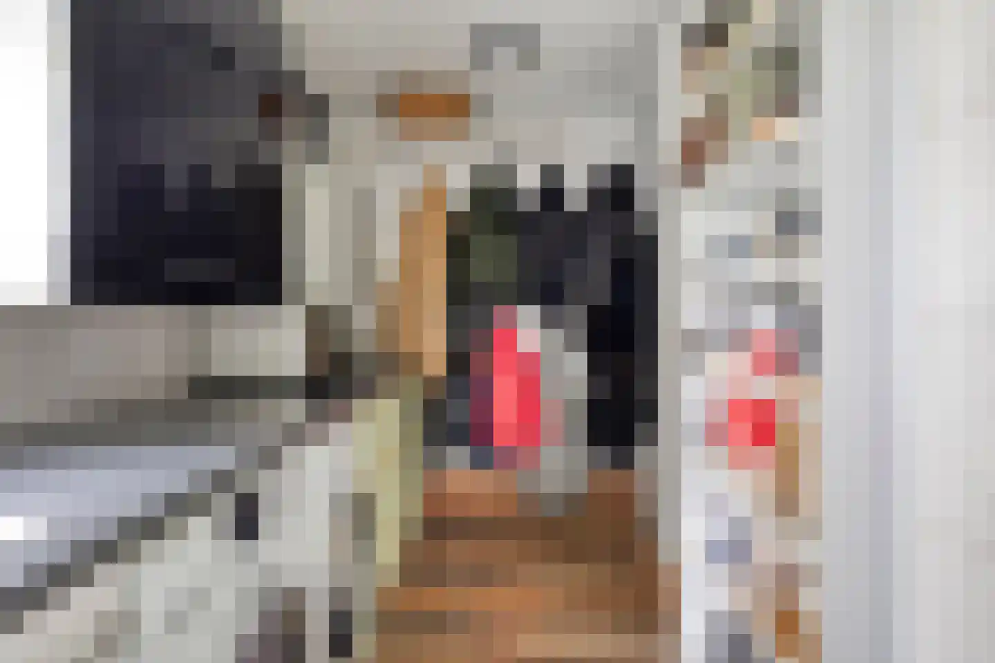 Welleweg 7 Dreischor thumbnail 17