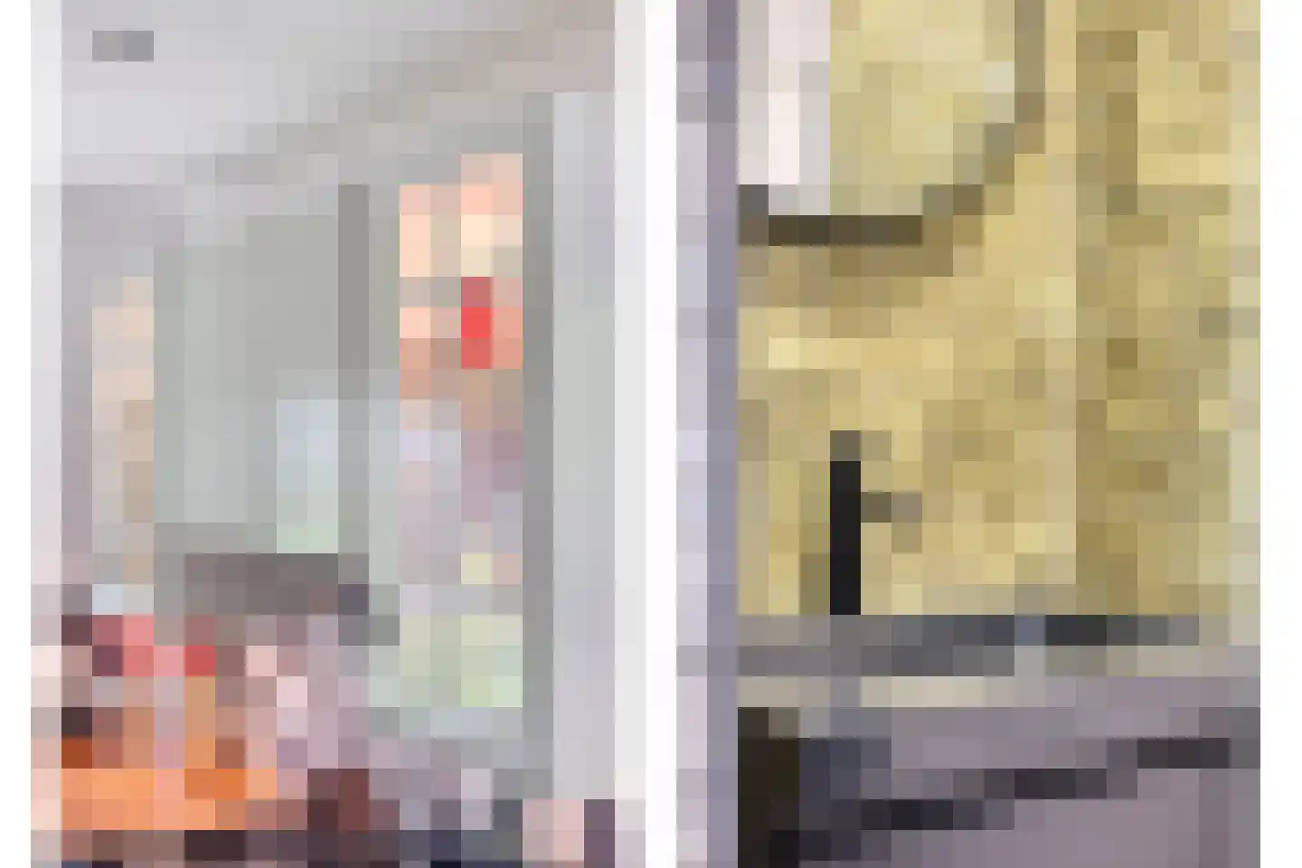 Welleweg 7 Dreischor thumbnail 23